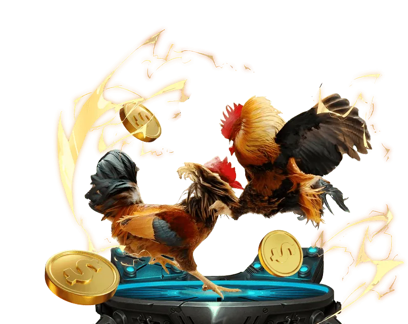 Tỷ lệ cược đá gà cạnh tranh và cơ hội thắng lớn